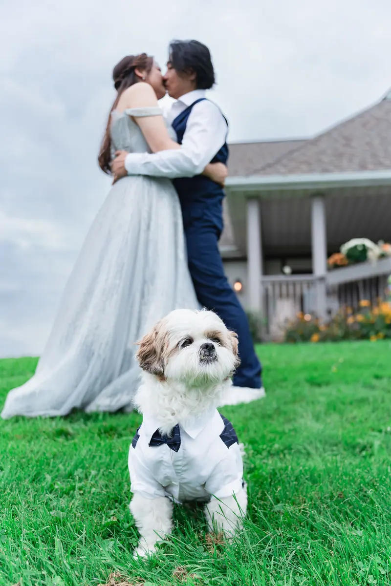 Amanda & Eric — photo 87 of 91