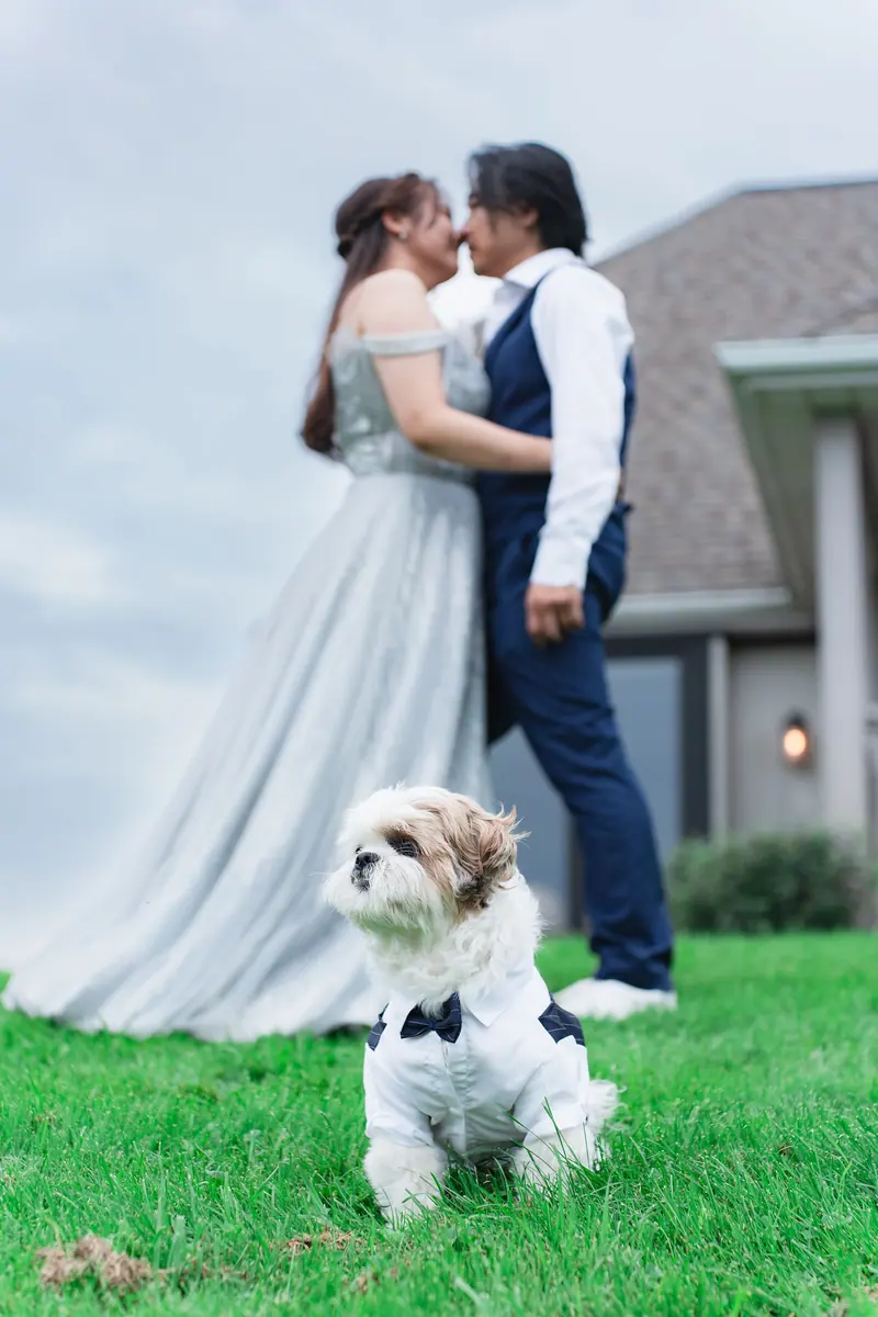 Amanda & Eric — photo 88 of 91